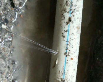 璧山卫生间测漏水多少钱